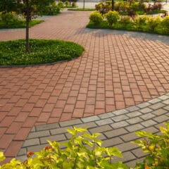 A well-maintained courtyard with a circular brick design surrounds a neatly trimmed central tree. The path is lined with green shrubs and plants, providing a natural and appealing aesthetic. The bricks vary in color, creating a pleasing visual pattern.