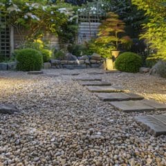 A serene garden with a gravel path, stone steps, and well-placed bushes under warm lighting. Lush greenery, including sculpted shrubs and small trees, borders the area. The background features a wooden fence with trellises and small white flowers.