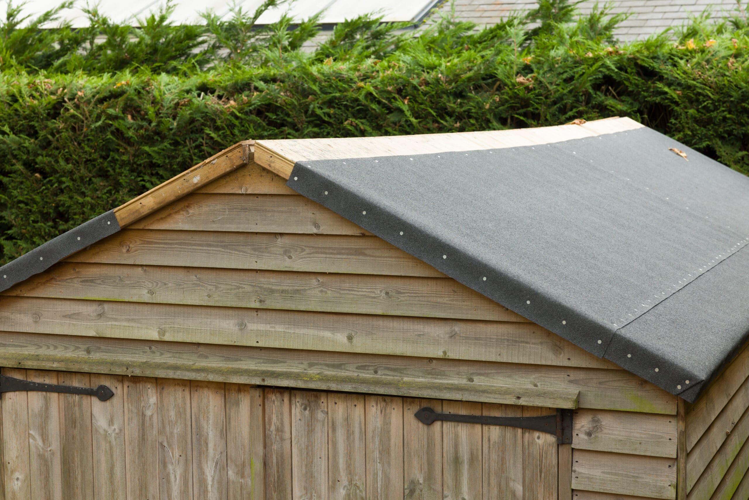 A wooden outdoor shed with a sloped, shingled roof is situated in front of a green hedge. The shed doors are closed and secured with simple black hinges. The roof is partially covered with felt roofing material secured by nails.