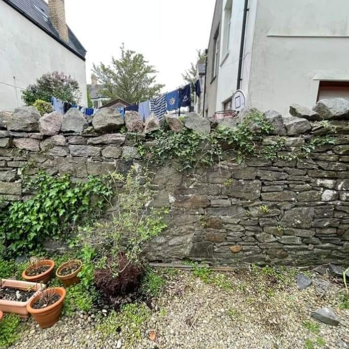 A stone wall with some ivy growing on it is seen in an outdoor area. Several potted plants are placed on the gravel ground in front of the wall. Behind the wall, a clothesline with laundry is visible between two buildings.